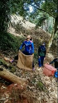 一斤榴莲能赚多少钱,路边榴莲能赚多少钱