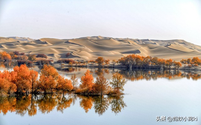 世界五大沙漠,五大沙漠