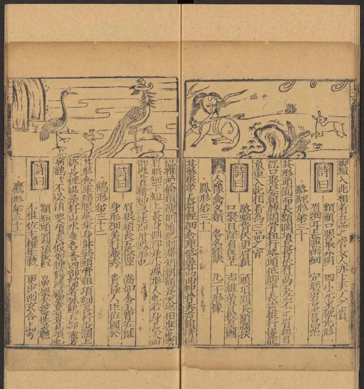 鎰熺煡鍘嗗彶鍝佸懗鏂囧寲缁忓吀,楹荤鐩告湳