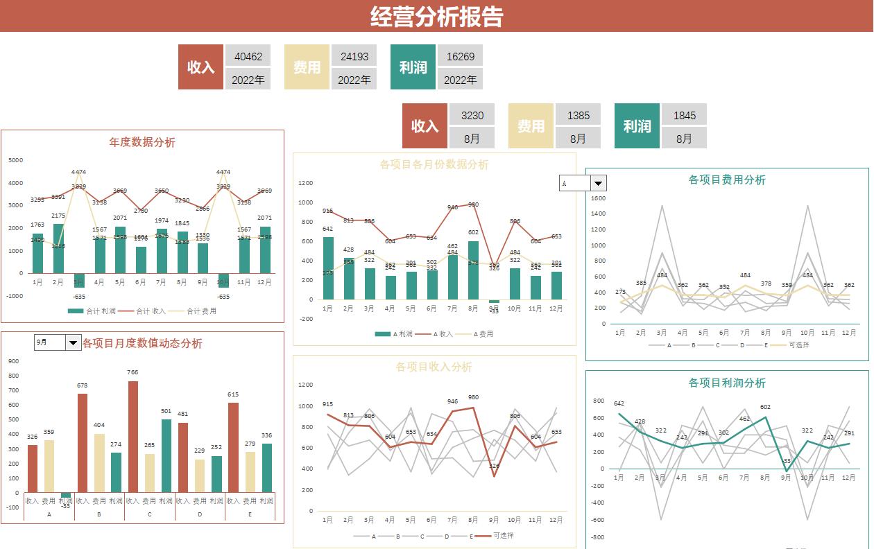 普华永道可视化财报,普华永道可视化财务分析表格下载