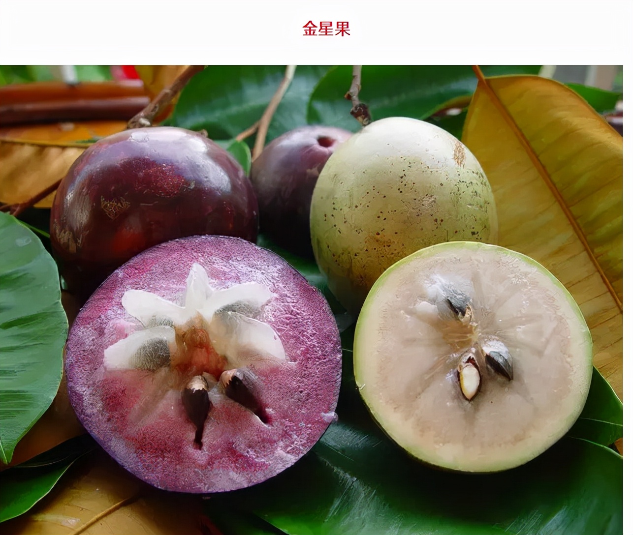 世界最好吃的水果十大排行,世界最营养又好吃的水果有哪些