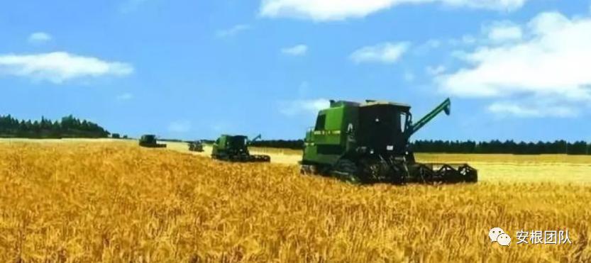 农业社会化服务实施方案,农业社会化服务重要性可行性分析