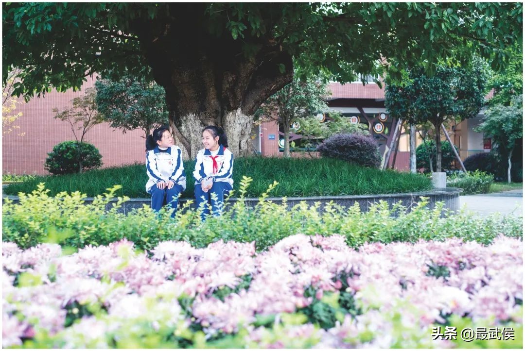 成都新增66所新优质学校武侯区,武侯新城有哪些学校