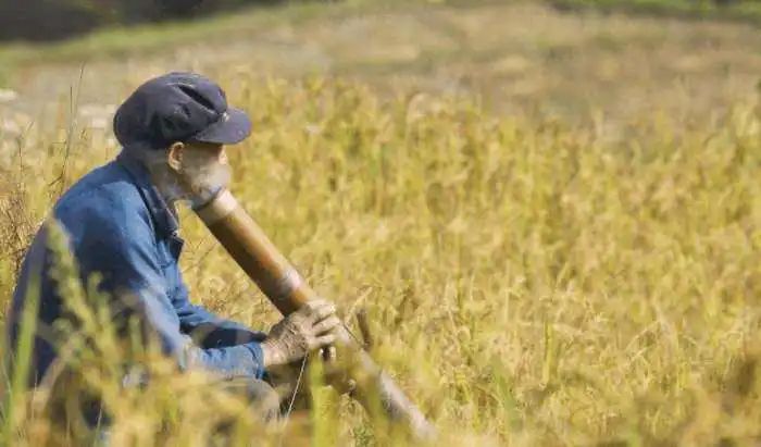 云南弥勒菜市场趣事：烟丝烟筒女人卖，妇女抱着烟筒抽