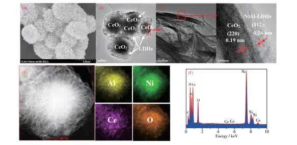 摩擦搅拌加工热机械循环中并发应变对NiAl青铜相变的影响