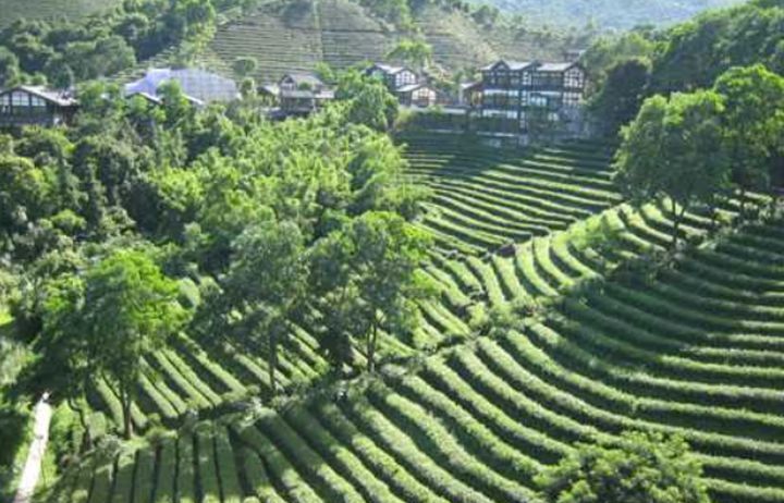 深圳杨梅坑最美海岸线,深圳杨梅坑探险记