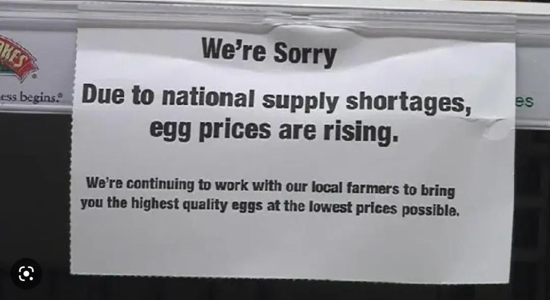 美国禽流感肆虐,鸡蛋批发价涨30%~预计明年2月或3月价格可望回稳