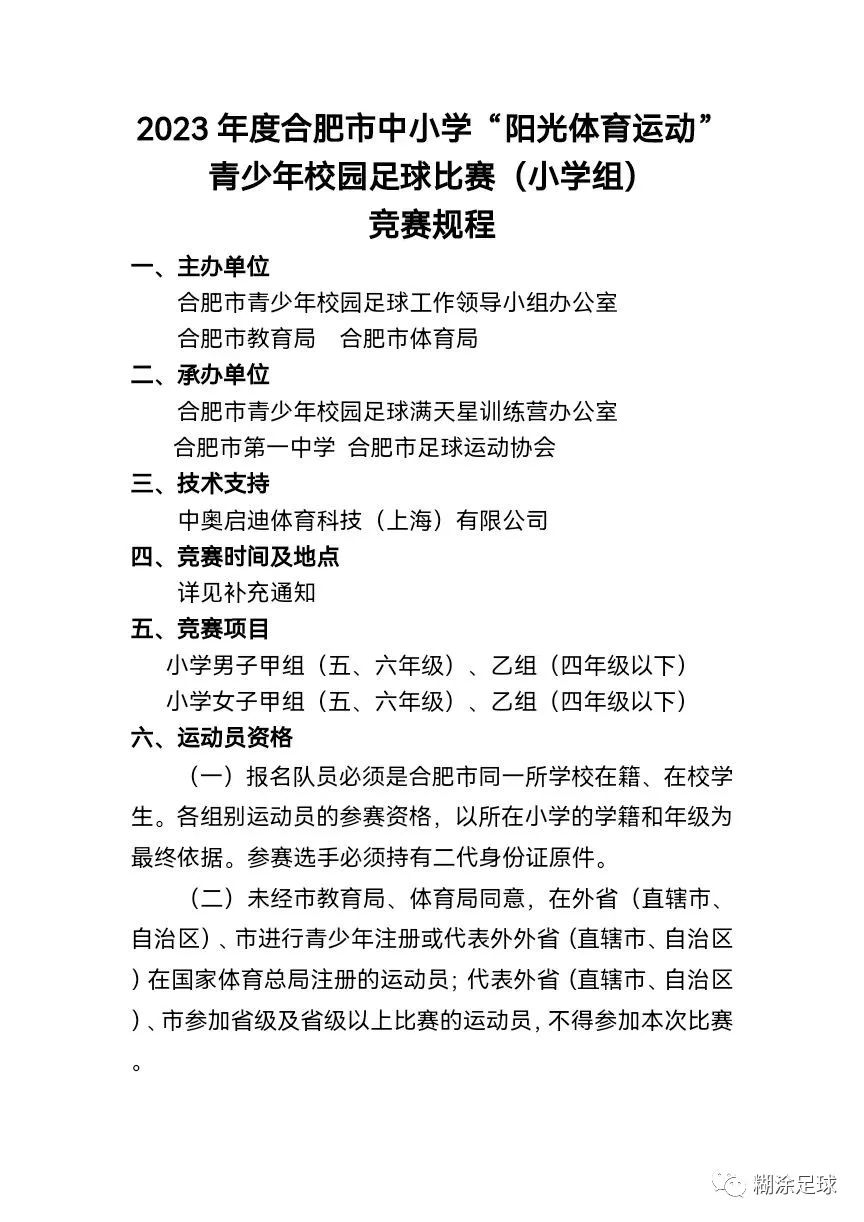 合肥市校园联赛,2023合肥足球高中校园联赛