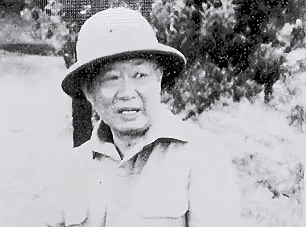 被抛弃的3000国军残部，留下6万后*开代**发美斯乐：店铺招牌是中文