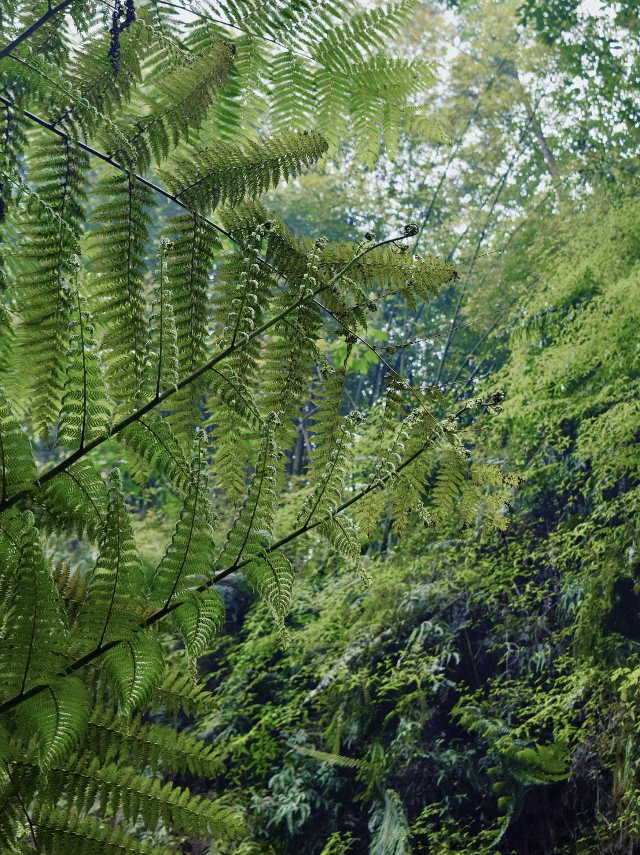 乐山异国风情打卡新去处,乐山游玩攻略及人文风情