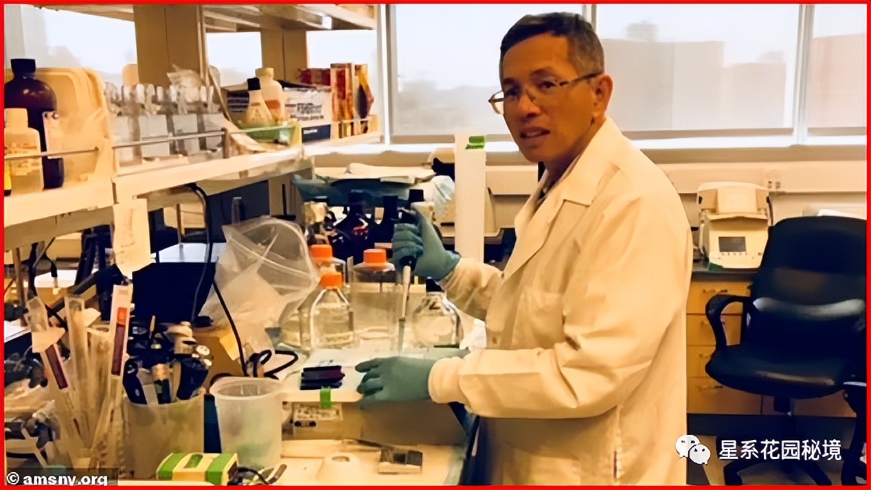 美国学术造假事件,科学数据造假著名事件