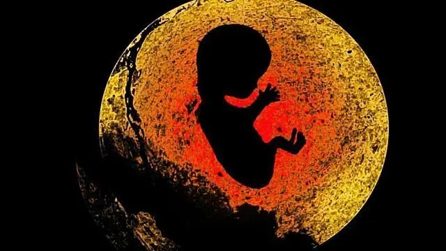 女网红侮辱烈士付出惨重的代价,女网红侮辱革命先烈罪