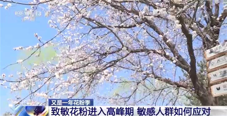 秋季花粉症的症状和治疗,秋季花粉症高发科学预防很重要