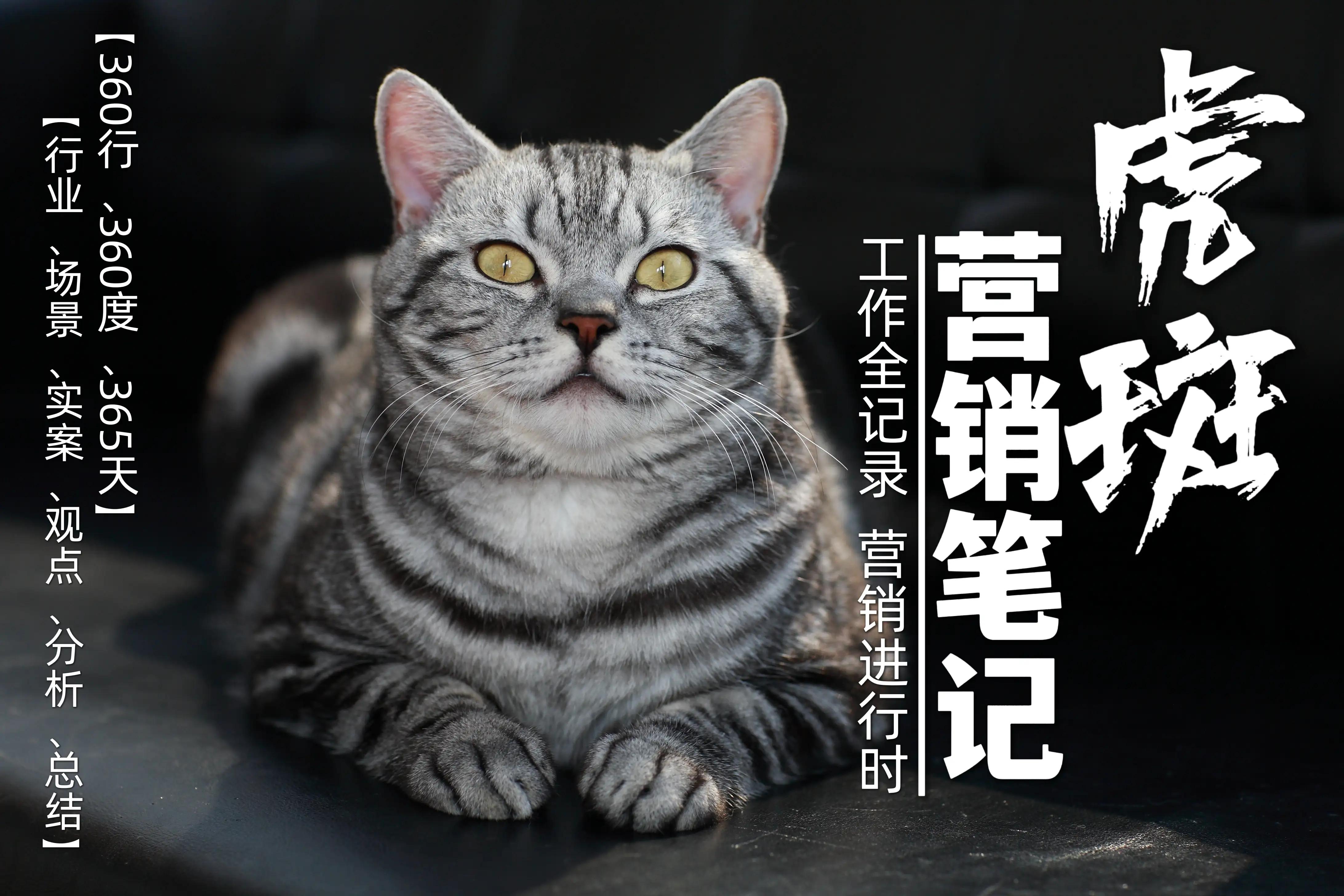 《虎斑营销笔记》第25页“如何做好网店直播”