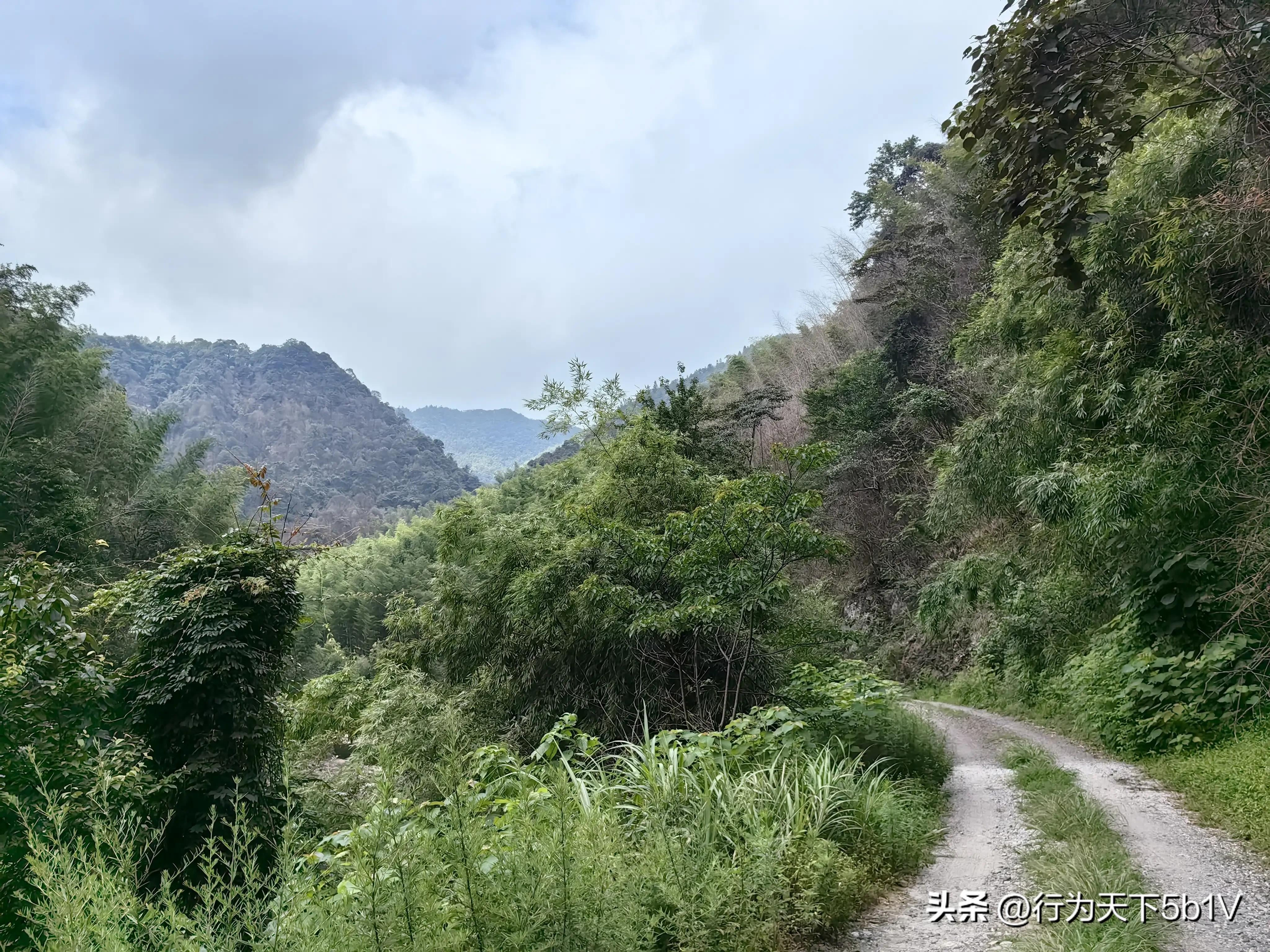 【探秘金紫山下的清凉秘境】行走在资源资江源大峡谷的风景线上