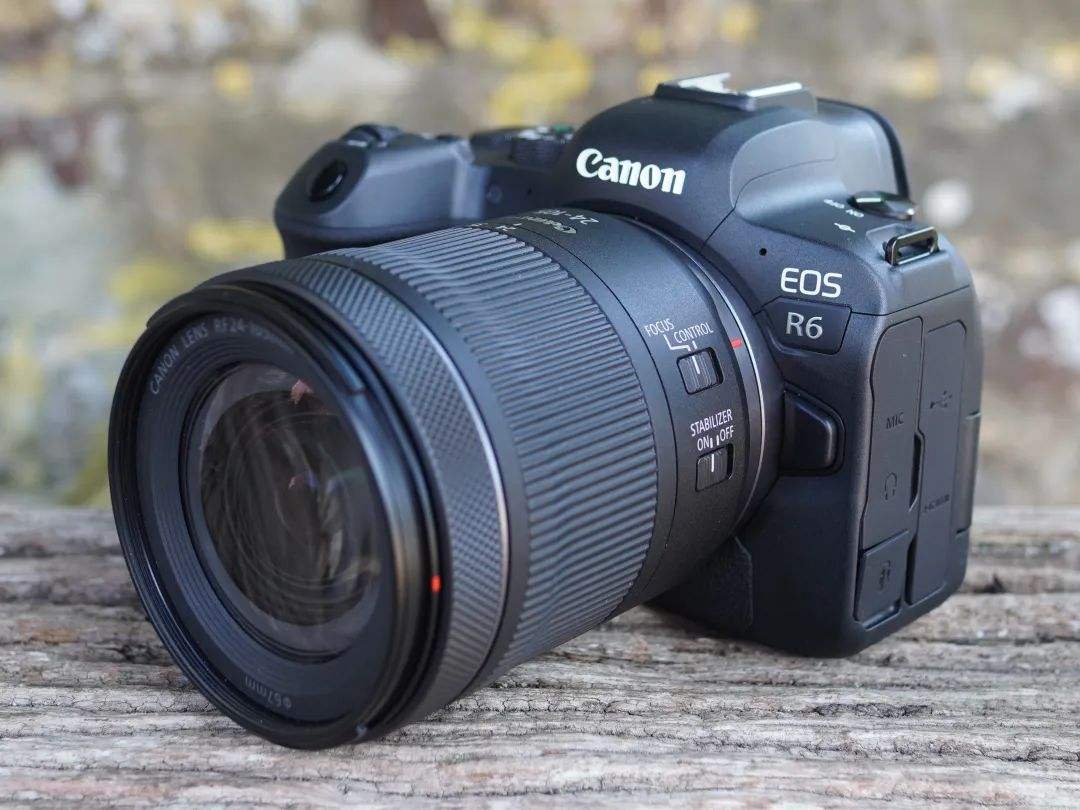 尼康索尼佳能拍照对比图,数码相机索尼和佳能哪个好