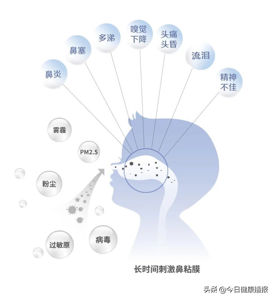惠斯安普脉冲微循环治疗仪,惠斯安普鼻炎