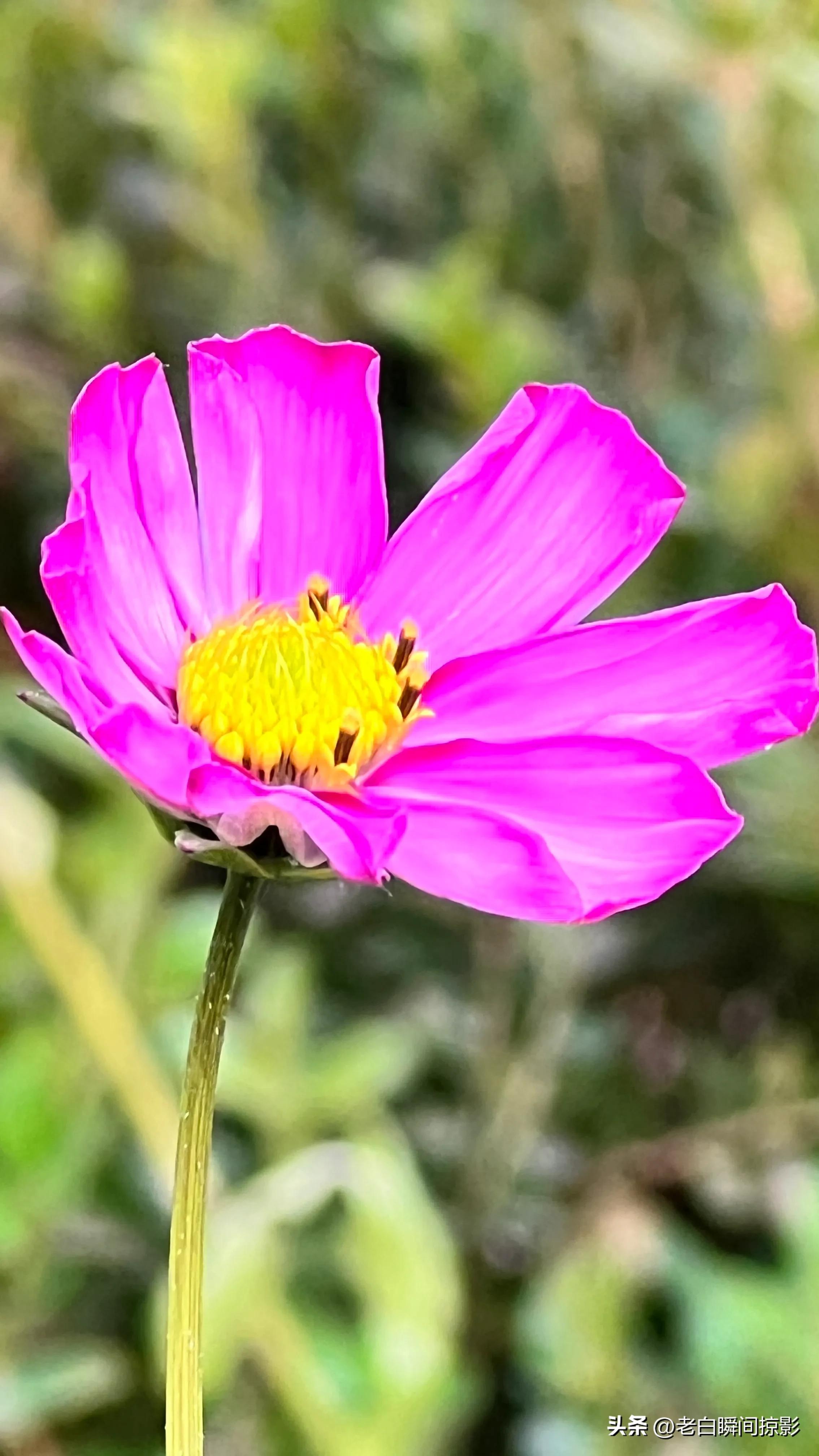 人不能闲着一闲就会多事,人不能闲着一闲就想太多