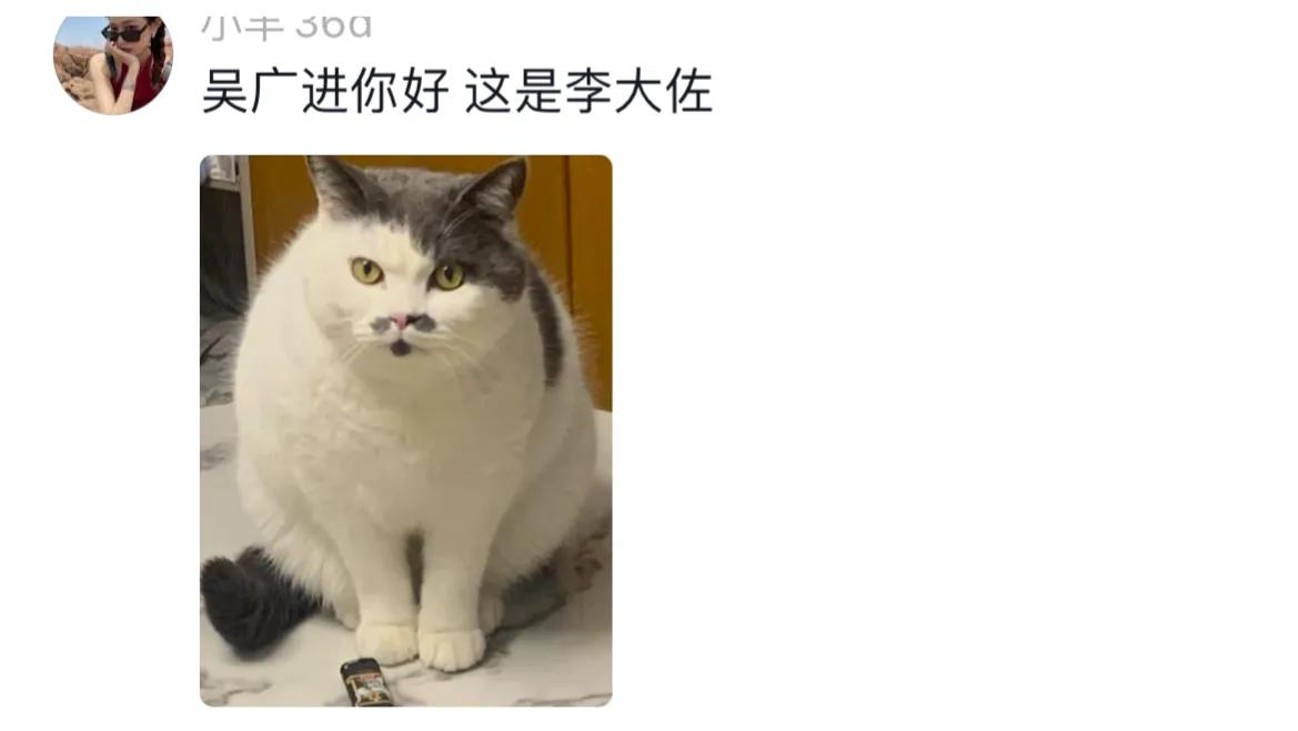 千万别给宠物取个名字,取一个仙气的宠物名字