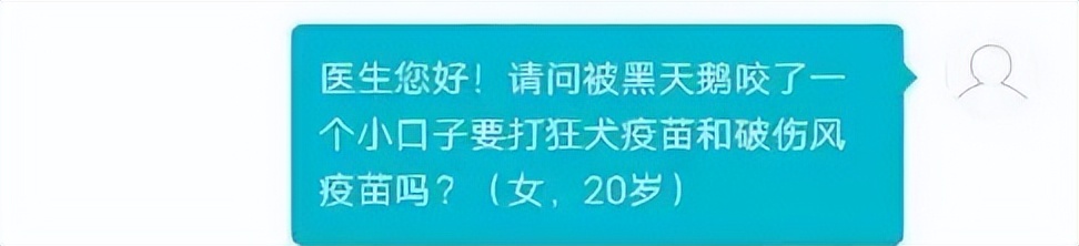 被黑天鹅打了,被黑天鹅攻击了