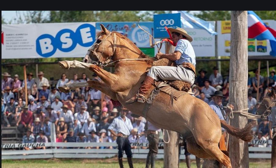 南美——“高乔故乡节”巡礼