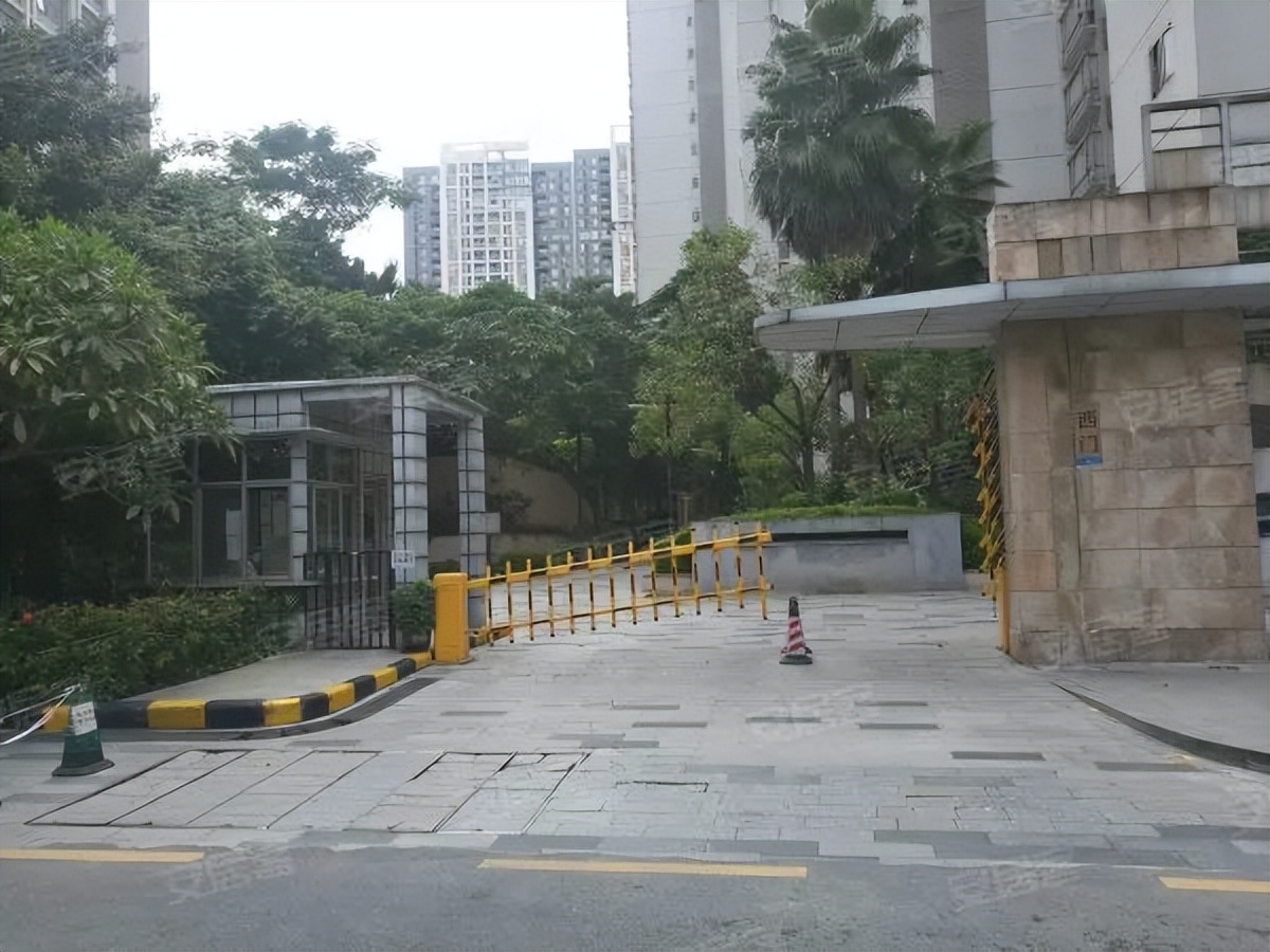 海关小学变华康!160个学生,160张课表?