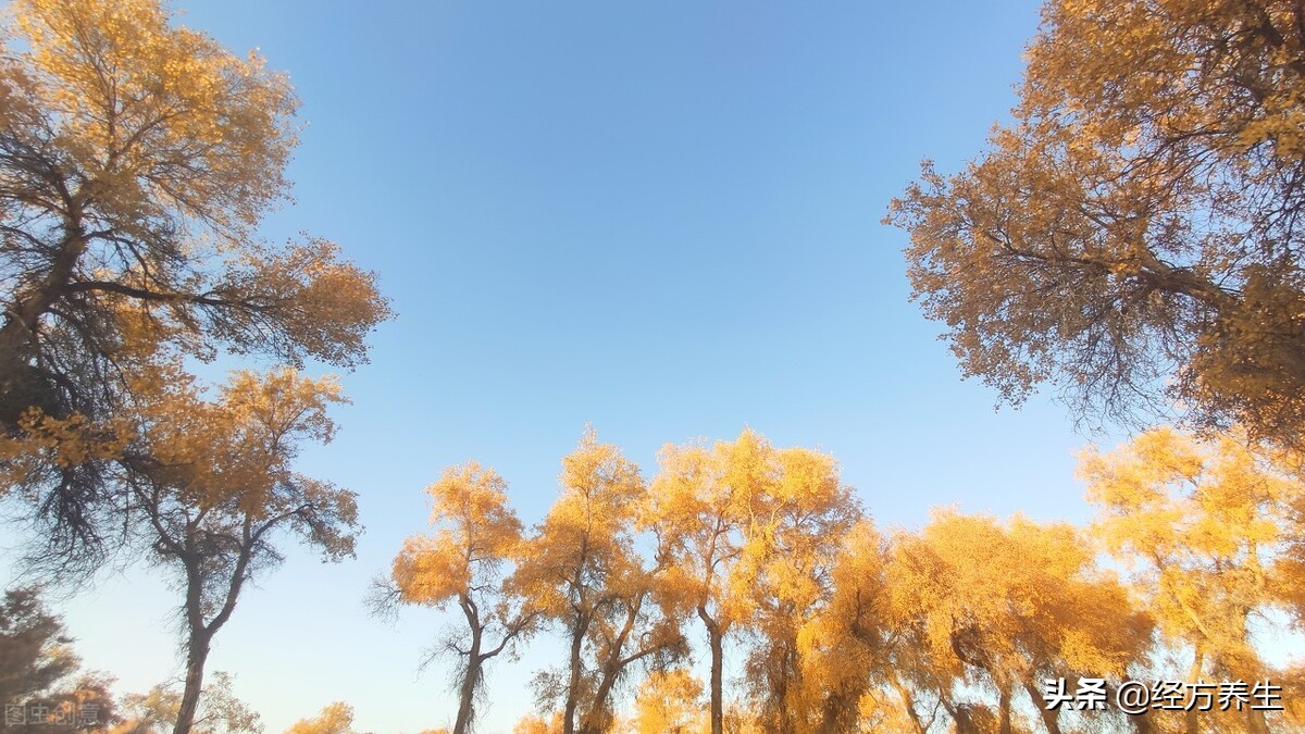 治病过程记录,治病是个长期过程