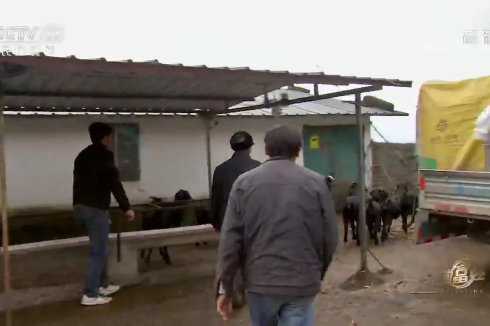 云南男子承包3000亩荒山，如今靠荒山实现梦想，年销售额700多万