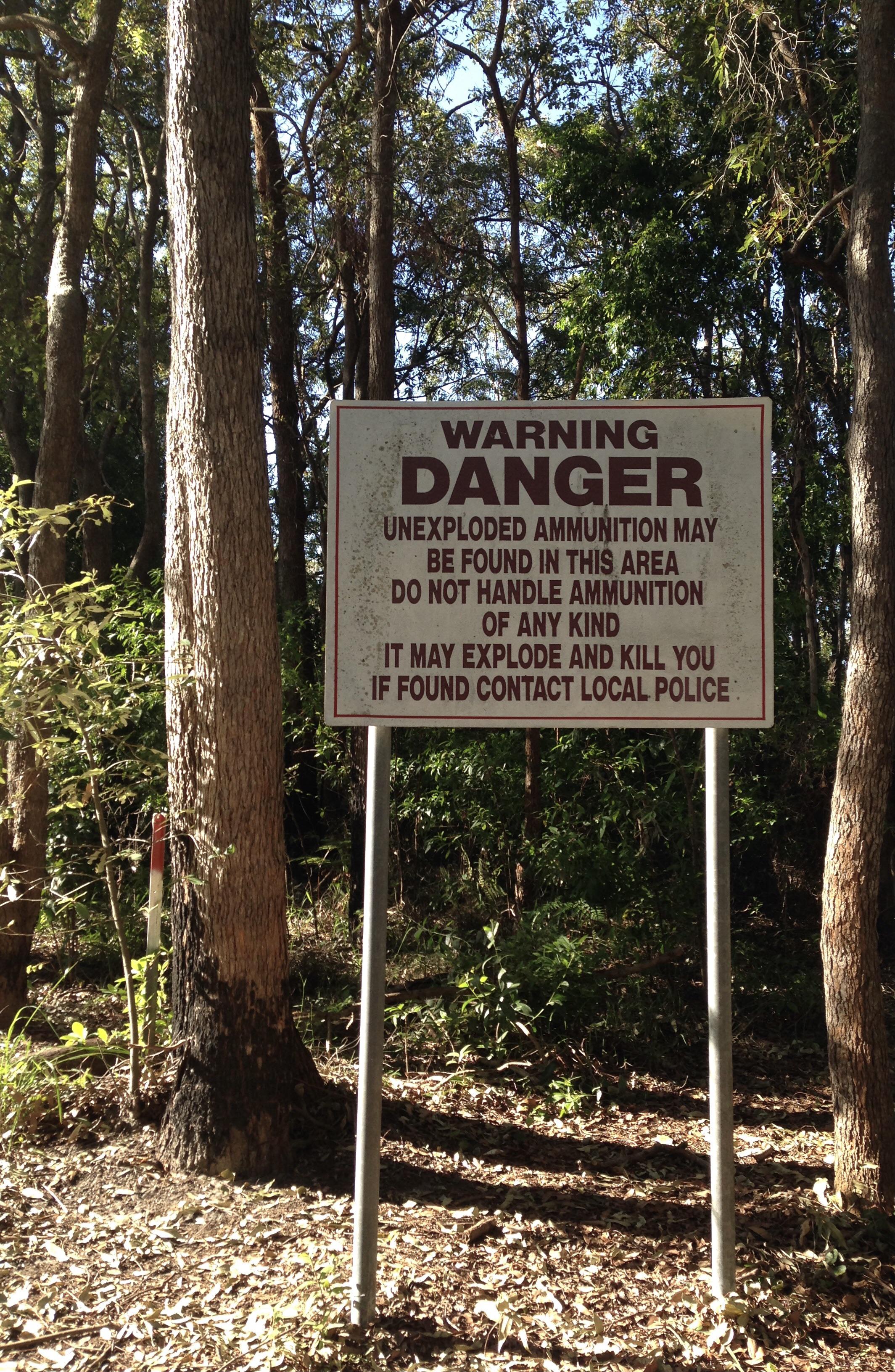 在澳大利亚你可以发现什么,澳大利亚到处能看到动物