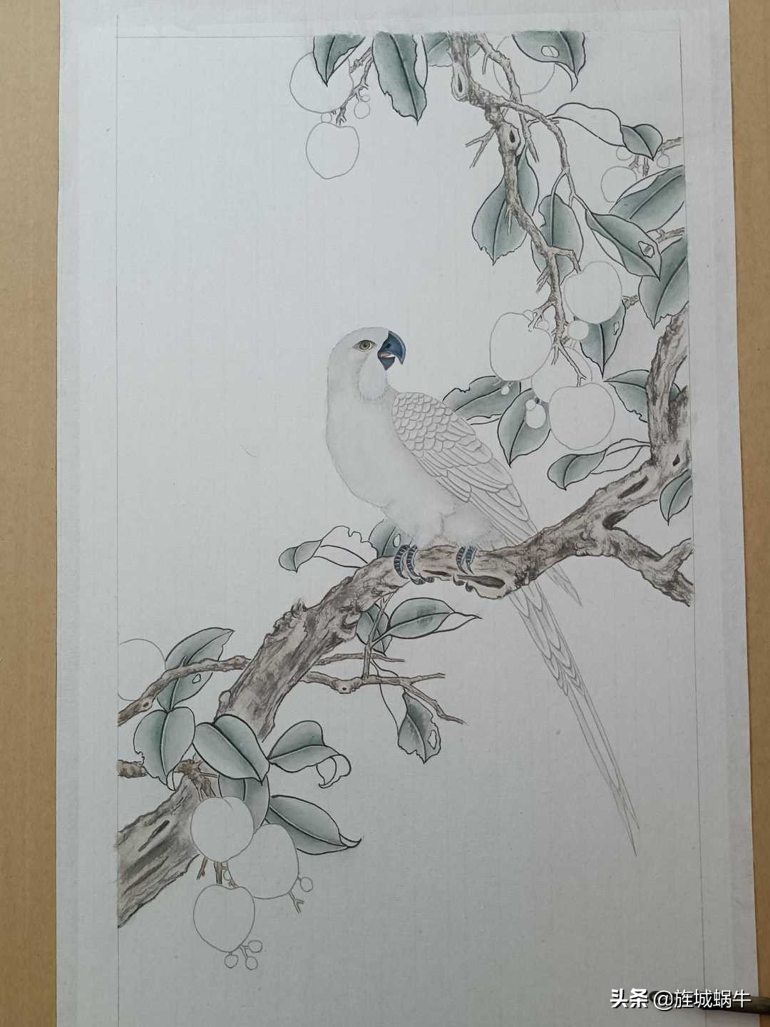 画者笔记|荔枝鹦鹉图绘制记录