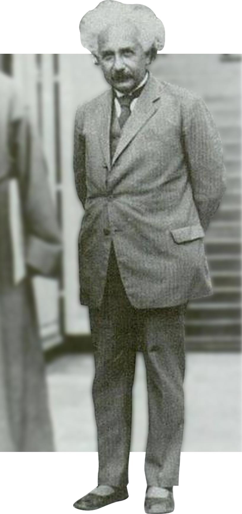 最近很火的大牌鞋子女,今年最时髦的女鞋百丽