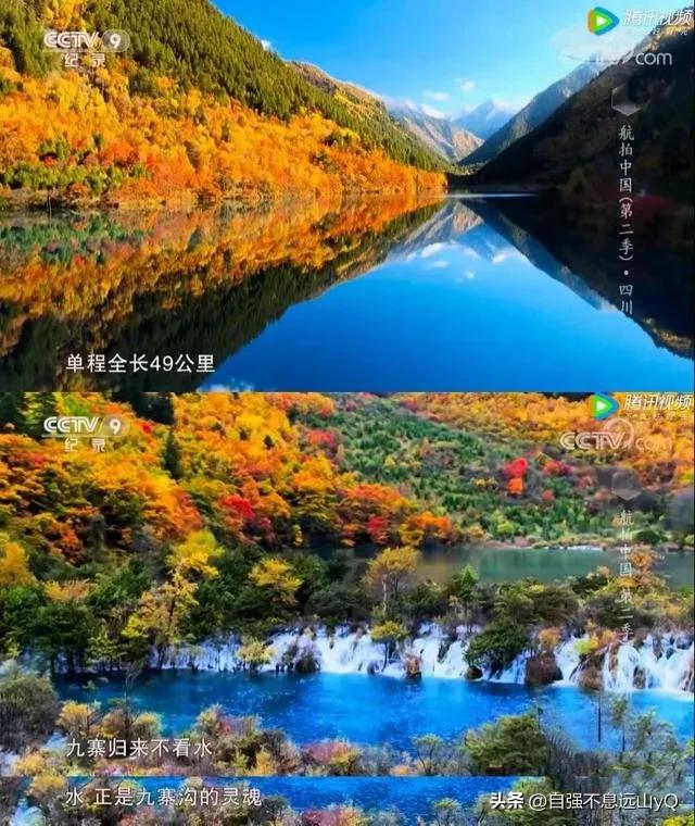 李铁足球生涯最大成就,李铁亚洲杯成绩