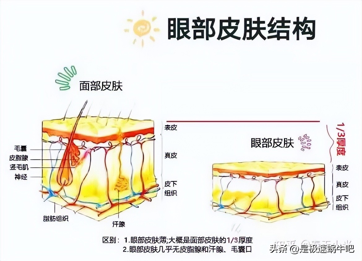 香港大药房蛇毒肽眼霜是智商税吗,眼霜是智商税吗测评