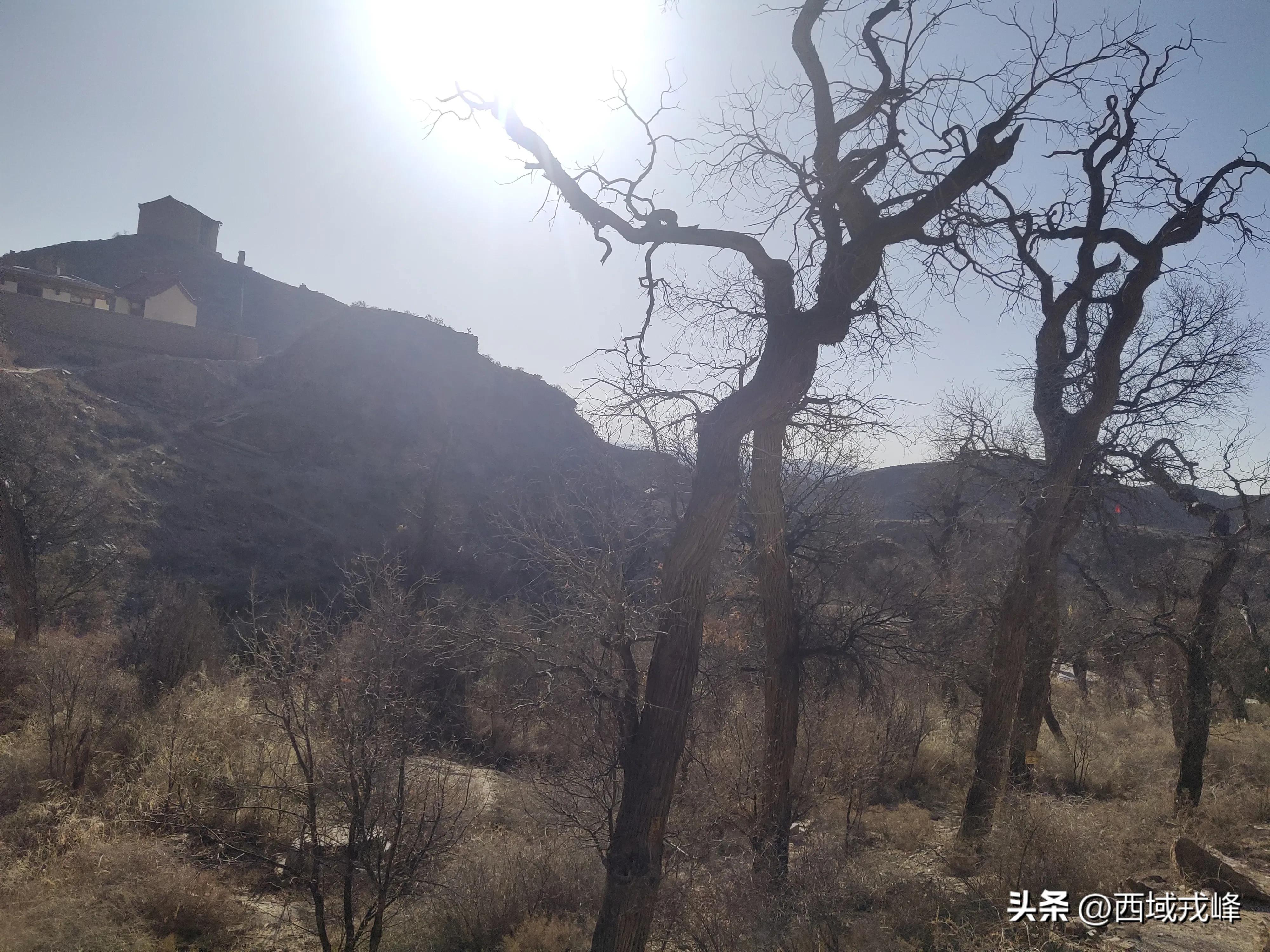 人世间‖云海苍穹泪两行——深切怀念父亲仙逝五周年·张耀宇