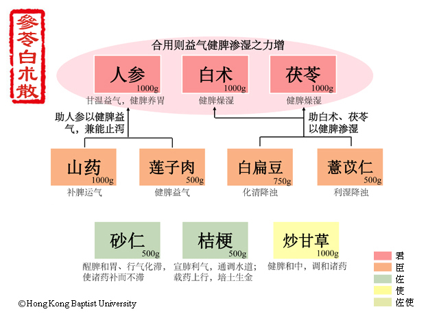 参苓白术散补肺气效果怎么样,参苓白术散补脾胃最好的中成药