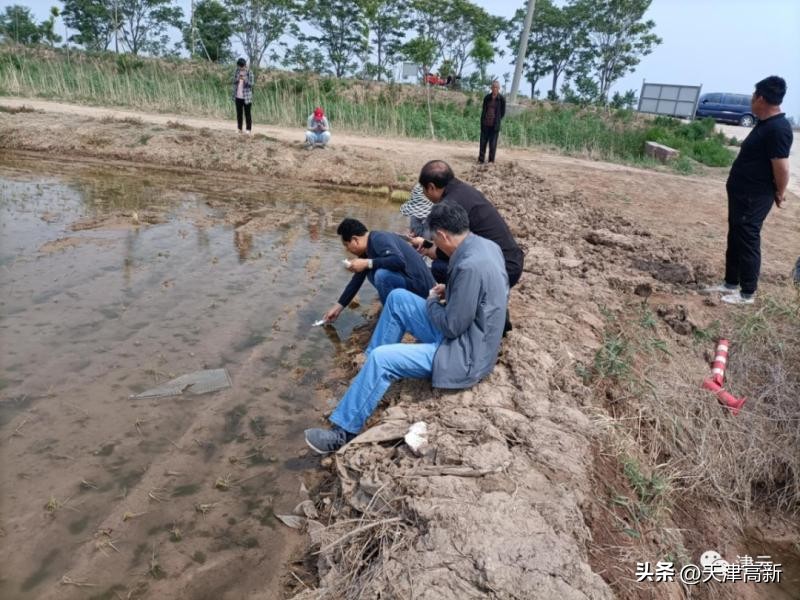 农民靠种地年收入达到3万,盐碱地增收