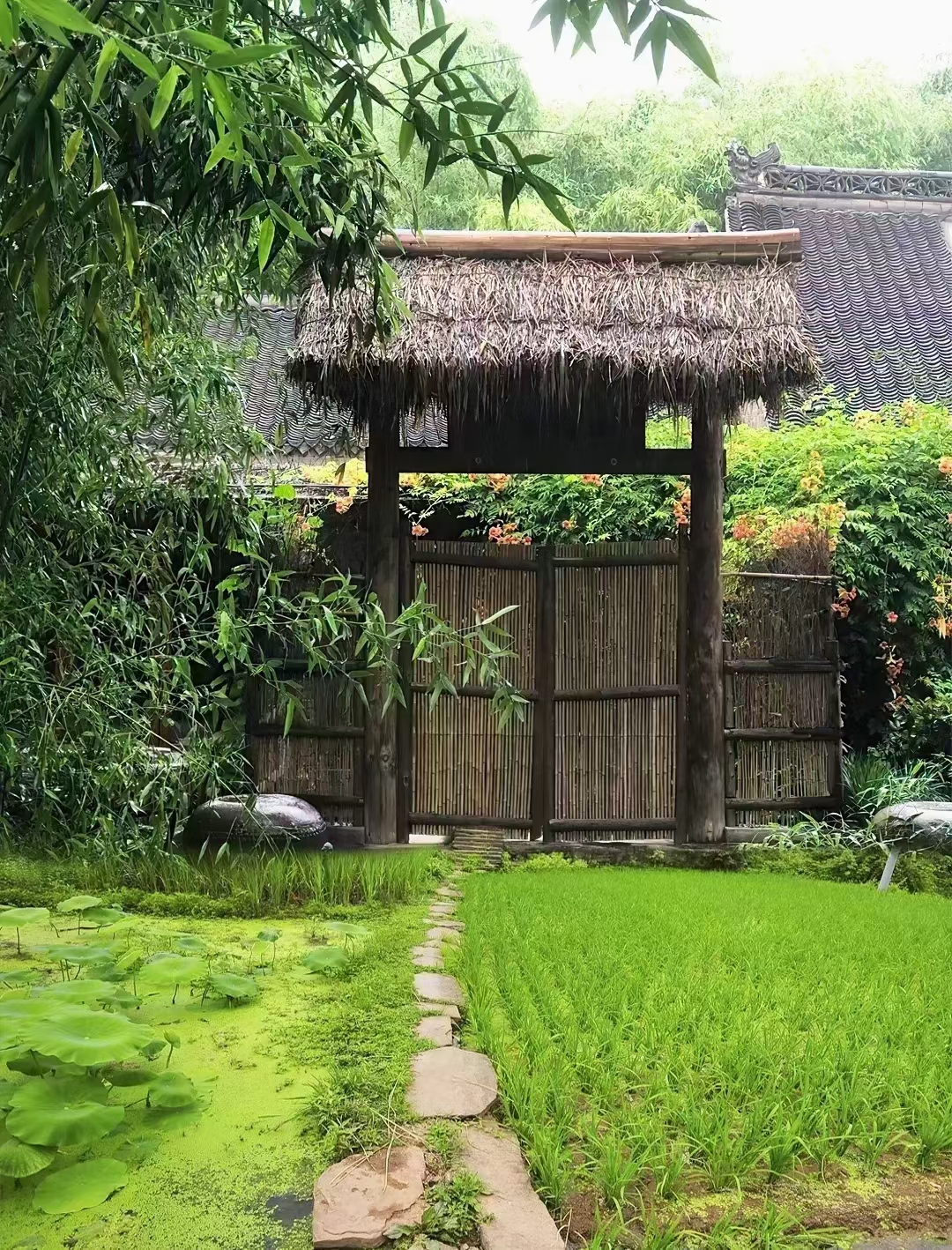 鍛借繍澶氳垱鐨勪粬,濂瑰懡杩愬鑸涙渶鍚庡嵈鍋氫簡澶殗澶悗