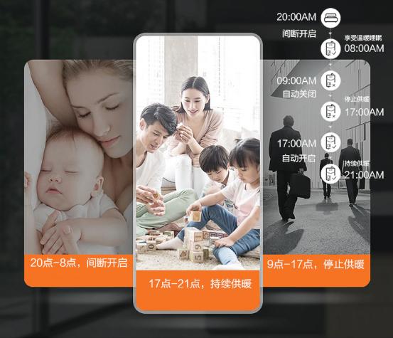 阿诗丹顿分段式燃气壁挂炉,阿诗丹顿冷凝式壁挂炉内部结构图