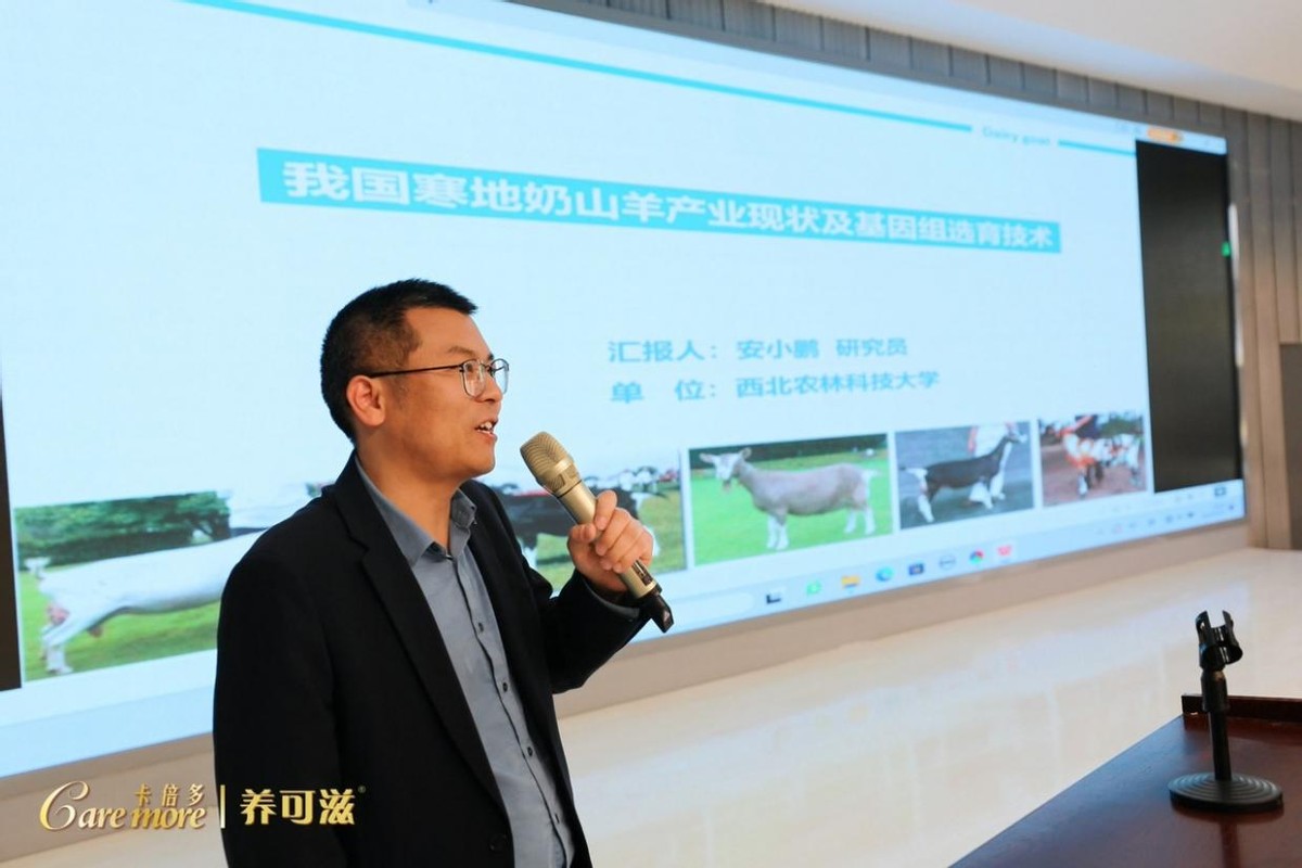 打造中国羊乳产业“第二极”叫响“寒地奶山羊”品牌——卡倍多养可滋羊乳文化节在黑龙江大同举行