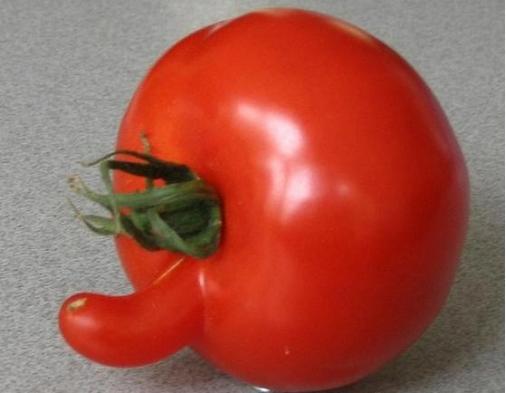 女儿偷看“小黄书”，妈妈遭暴击：性教育，对于孩子多重要？