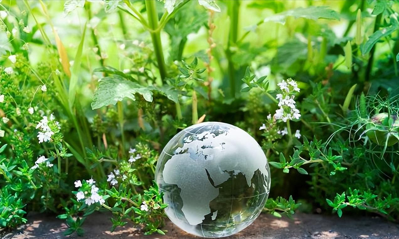 环保第一龙头，利好＋主力抄底67亿，涨停从此开启！