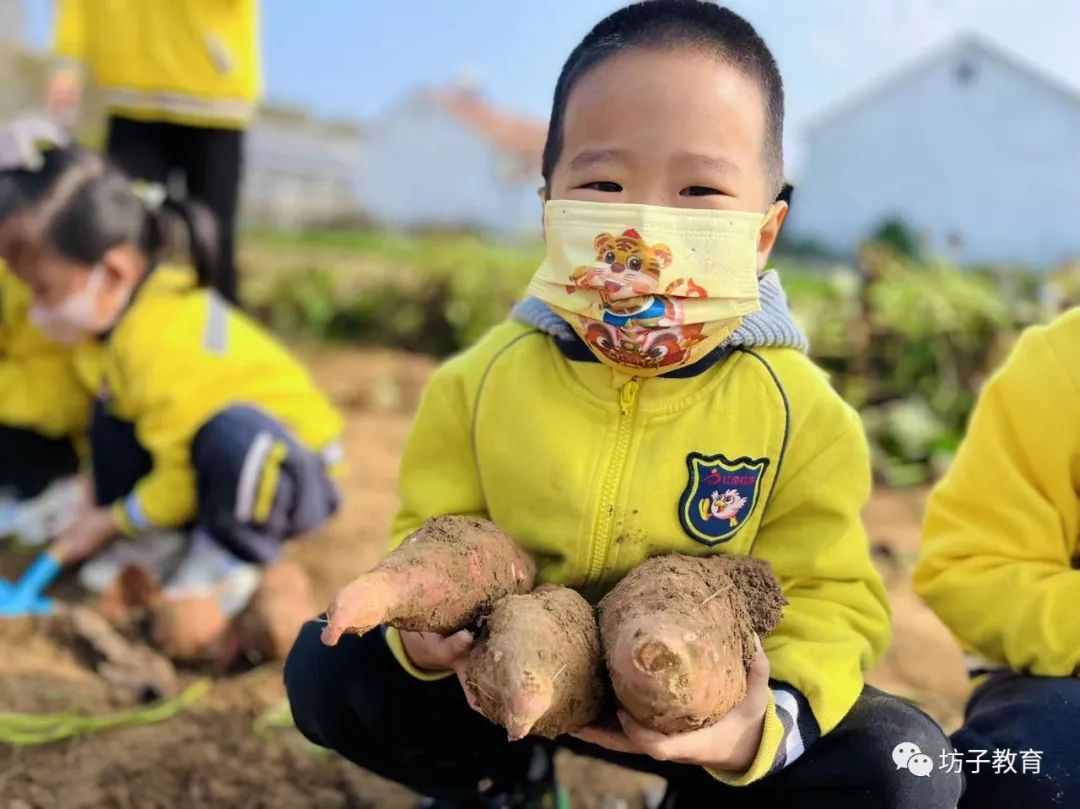 发现美好遇见幸福|坊子区：解锁幸福密码赋能学生成长（二）