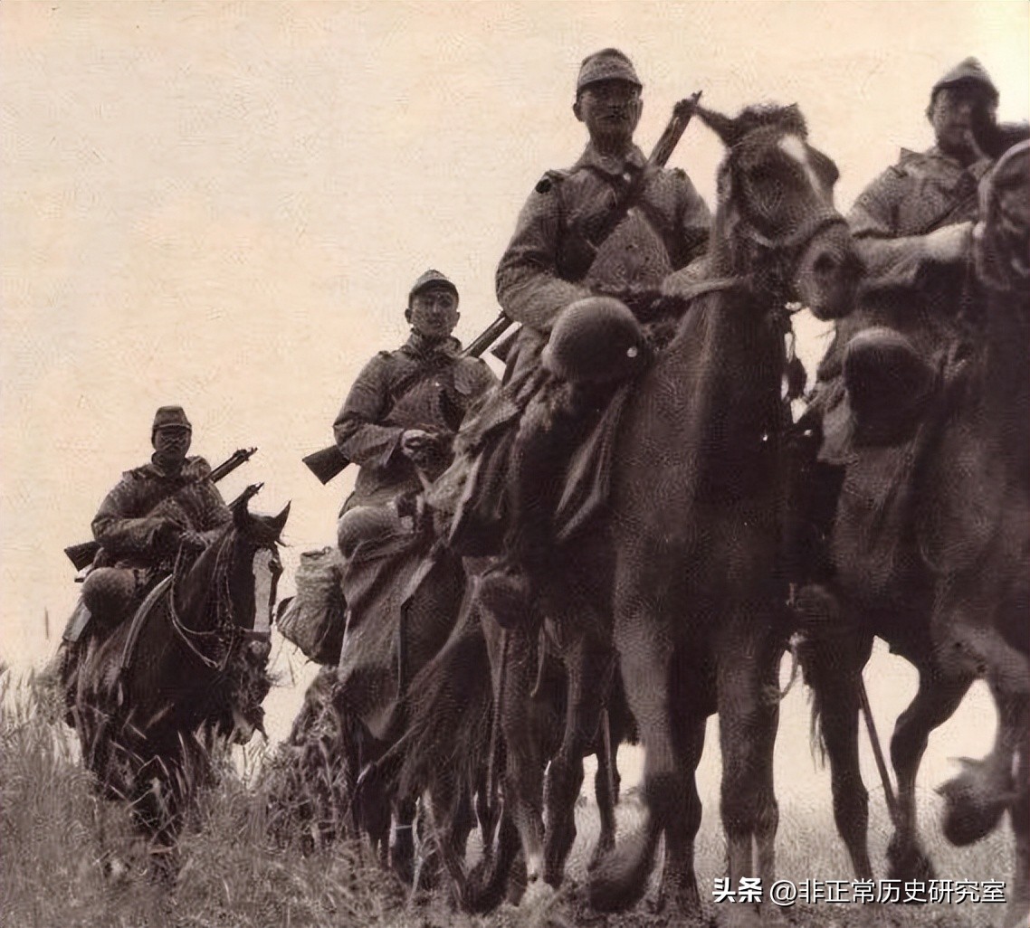 二战军队伙食纪录片,二战德军军犬伙食