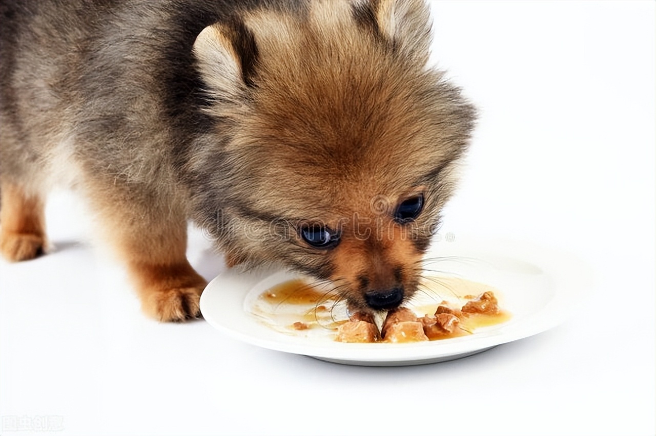 狗狗泌尿结石吃什么药好,狗狗尿路结石保守治疗