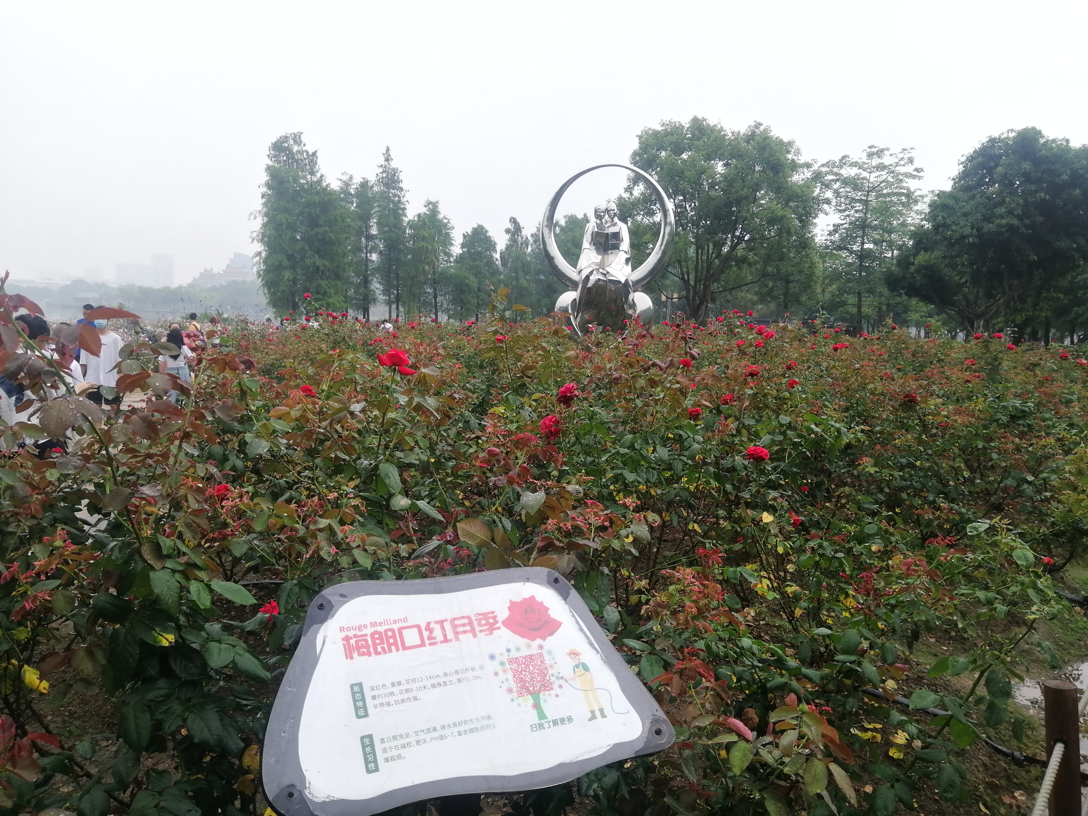 打卡广州地铁7号线,打卡广州最美7公里