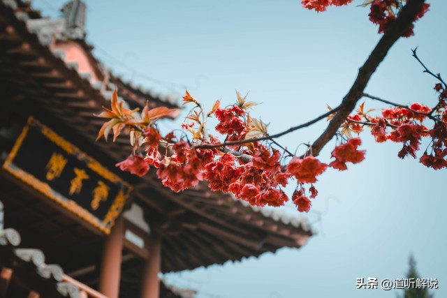 李娜原先出家在五台山哪个寺庙啊,李娜在五台山出家唱的佛教音乐