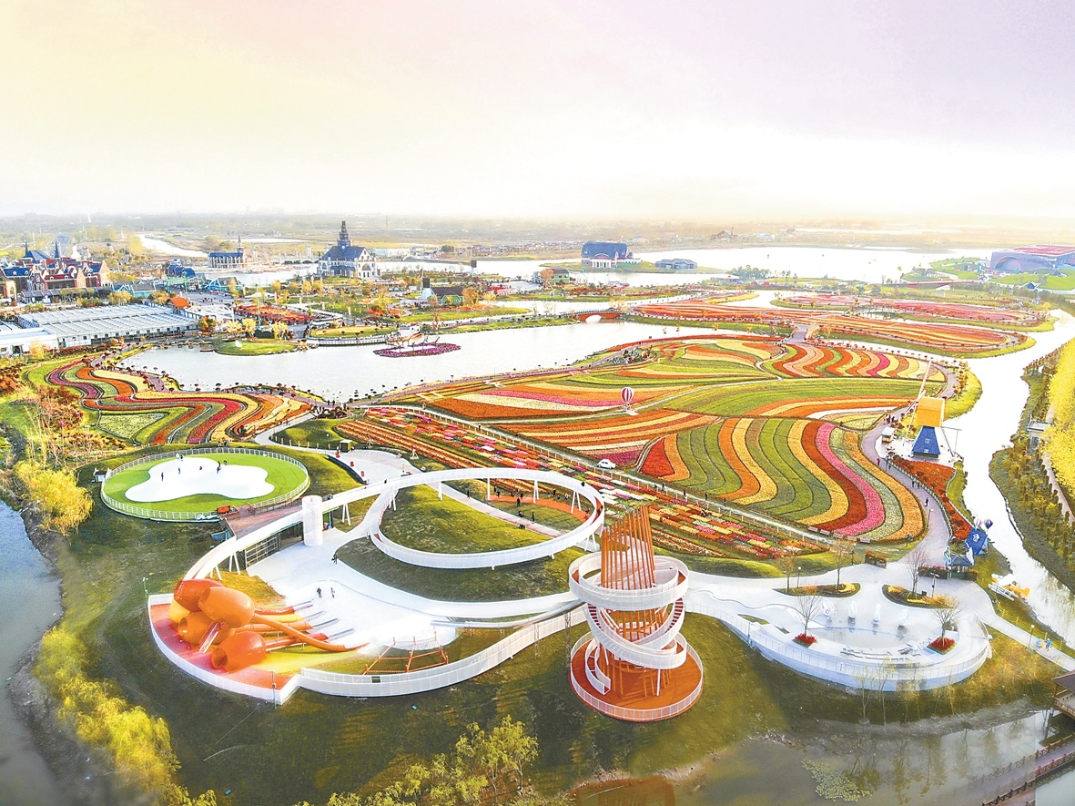 盐城秋季乡村文旅推荐,盐城好生活