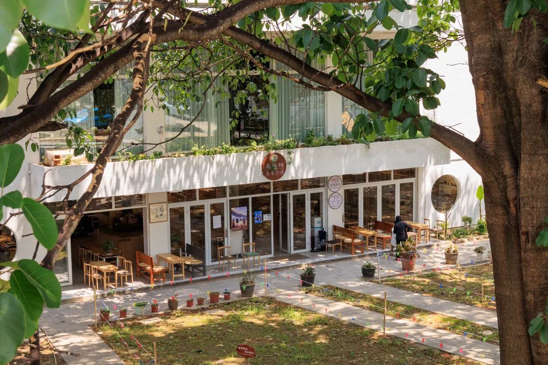 大理游玩攻略3天2晚,大理环海一日游攻略12点出发