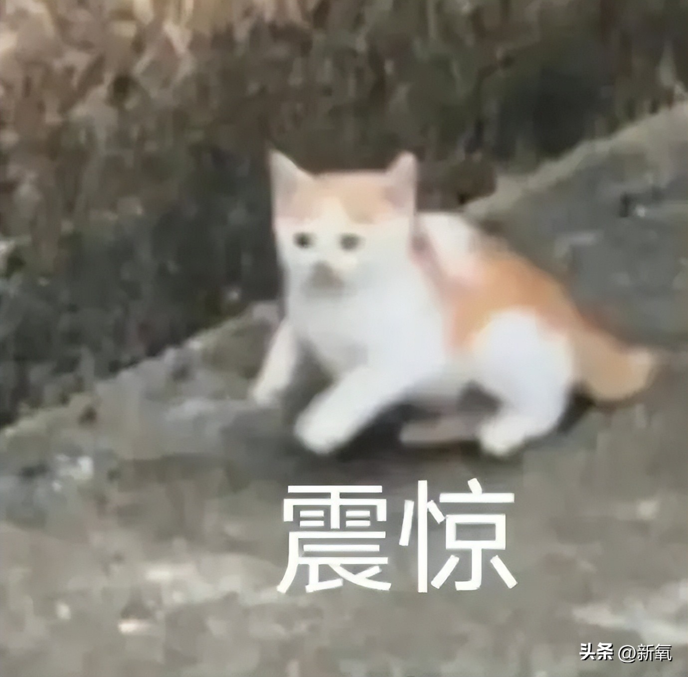 挺着大肚子逼退小三9年后，她终于复出了