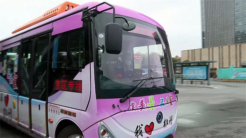 柳州人气网红,柳州是一座有温度的城市